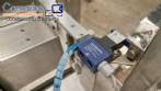 Sarong SAAS model blister forming and sealing machine for suppositories.