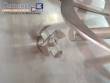 Mecamau stainless steel ribbon blender
