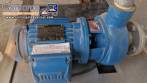 Incalfer double stage continuous stainless steel vegetable washer