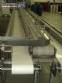 Conveyor belt