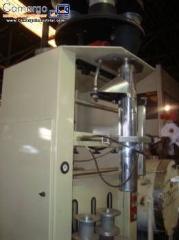 Leitzke volumetric vertical packaging machine