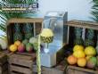 Automatic peeler for pineapple, mango and melon, 250 units per minute Astra