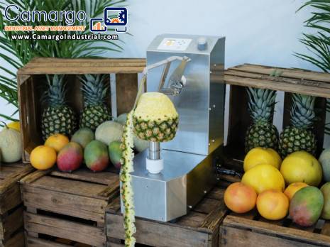 Automatic peeler for pineapple, mango and melon, 250 units per minute Astra