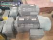 Nemo Netzsch helical positive pumps