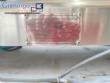 Stainless steel benchtop filling machine for liquids and viscous products