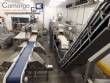 Ulma automatic packaging line