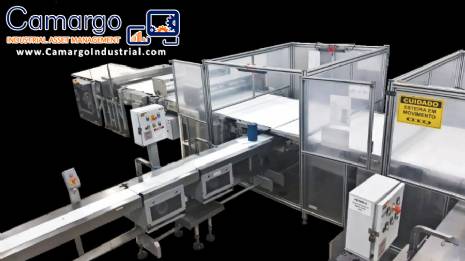 Distribution, phasing and feeding system for Cavanna packaging machines